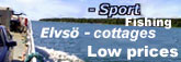 Semester - Sportfiske -Stugor vid ön Elvsö - lågpris