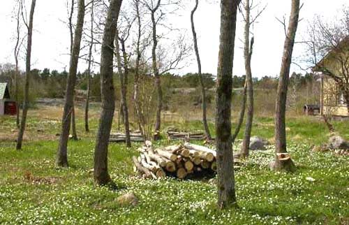 Skärgårdshavets biosfärområde Berghamn