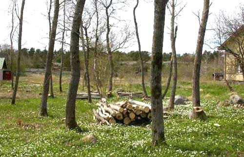 Skärgårdshavets biosfärområde Berghamn