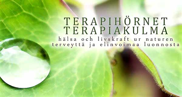 TERAPIHÖRNET