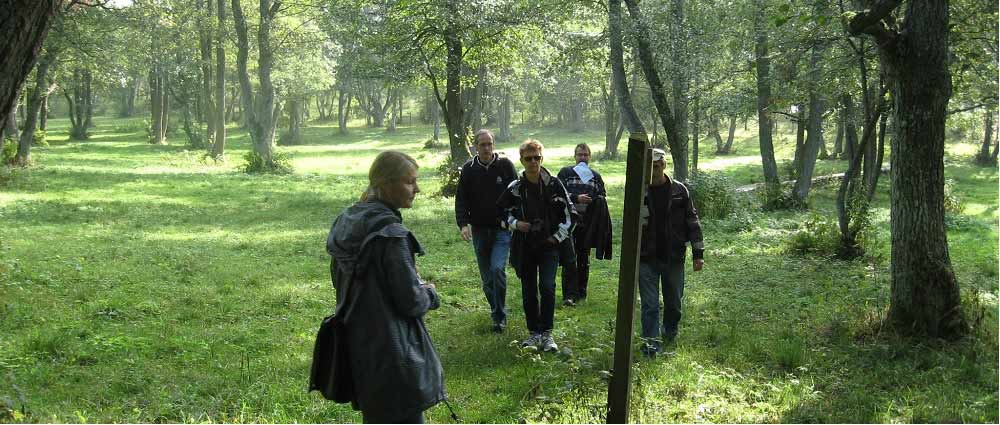 Nationalparkens biosfärområde - Jungfruskär